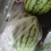 顺丰快递[苏鲜生]现摘2k西瓜 净重5-5.5斤 2个装 新鲜网红小糖丸西瓜晒单图