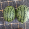 顺丰快递[苏鲜生]现摘2k西瓜 净重5-5.5斤 2个装 新鲜网红小糖丸西瓜晒单图