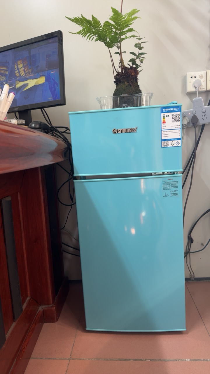 香雪海 小冰箱 家用小型双门冰箱 一级能效电冰箱 迷你小型节能冷藏冷冻 租房 宿舍冰箱 68S138E 天空蓝晒单图