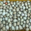 [西沛生鲜]新鲜虫草乌鸡蛋 20枚 散养土鸡蛋 柴鸡蛋笨鸡蛋草鸡蛋整箱晒单图