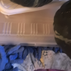 [西沛生鲜]贝贝小南瓜 新鲜蔬菜 净重3斤 2-3个 新鲜采摘 软糯香甜晒单图