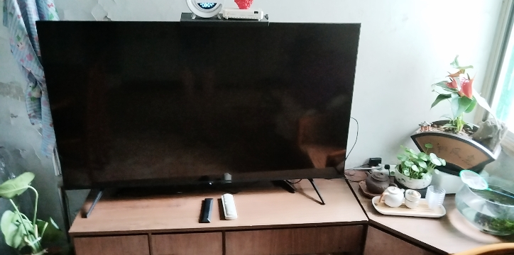 TCL电视 55T6L 55英寸 QD-Mini LED 万象分区 QLED量子点 绚彩XDR 1100nits 超薄晒单图