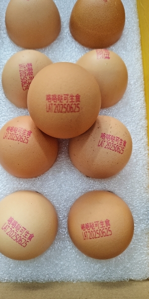 苏鲜生 [苏宁自有品牌]可生食鲜鸡蛋1.8kg(30枚)晒单图