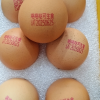 苏鲜生 [苏宁自有品牌]可生食鲜鸡蛋1.8kg(30枚)晒单图