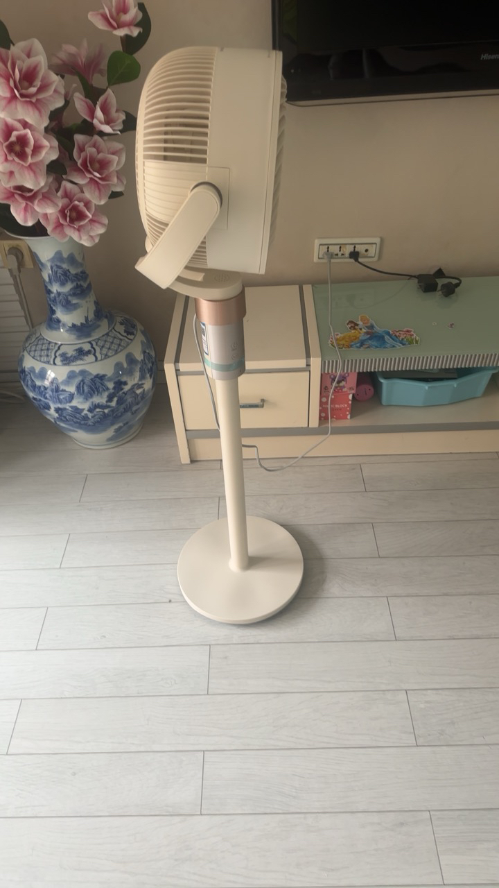 美的空气循环扇电风扇家用智能风扇APP轻音遥控语音台式变频落地扇GDI24RY晒单图