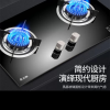 志高(CHIGO)F210D双灶眼燃气灶具 (天然气) 4.6大火力台式嵌入式两用双灶家用灶具晒单图