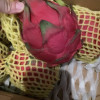 [西沛生鲜]越南进口 白心火龙果 净重5斤 单果300-500g 新鲜当季水果 孕妇宝宝晒单图