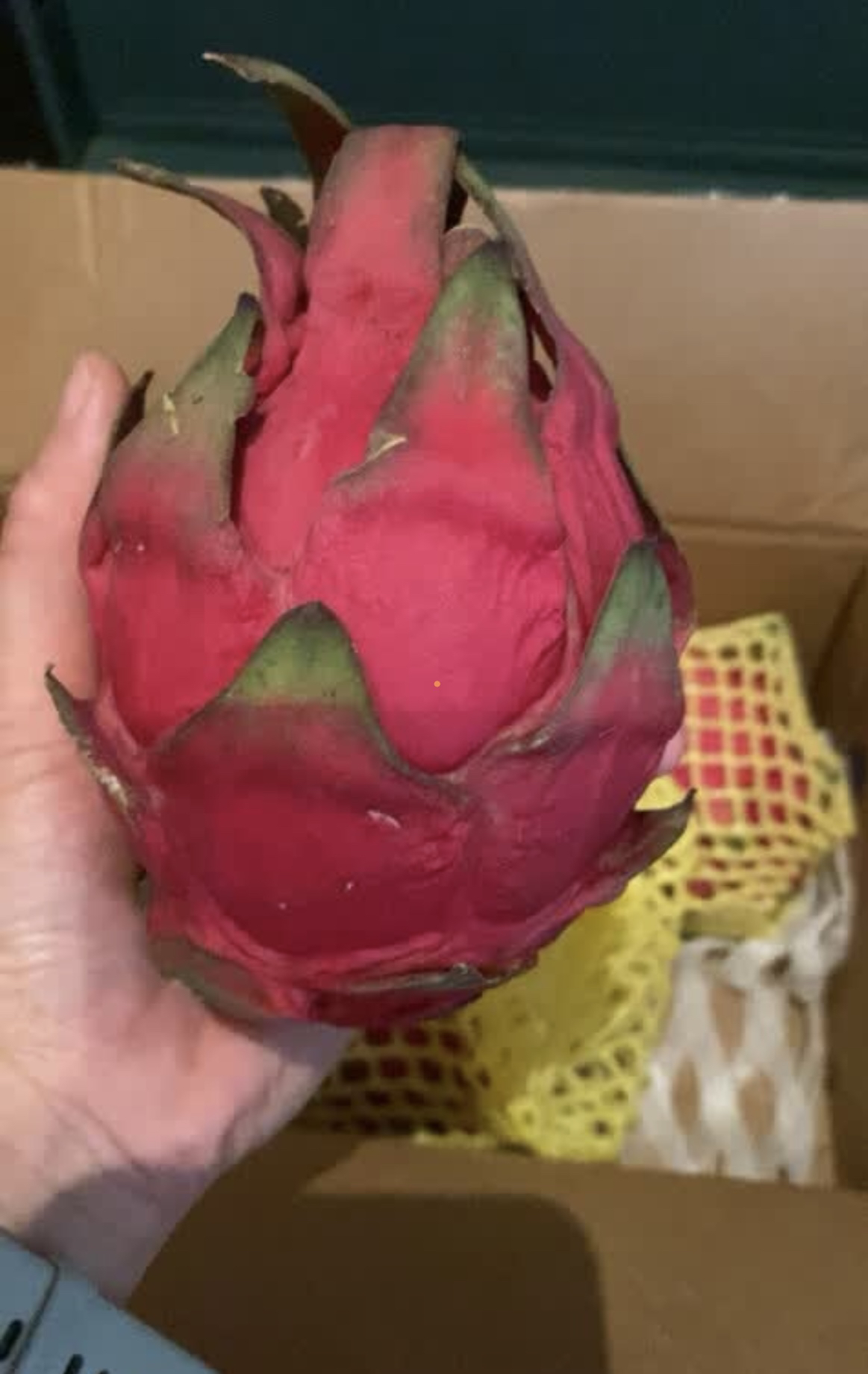 [西沛生鲜]越南进口 白心火龙果 净重5斤 单果300-500g 新鲜当季水果 孕妇宝宝晒单图