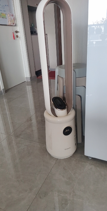 艾美特(Airmate)直流变频负离子无叶风扇塔扇家用台立扇遥控落地扇智能AI温控电风扇定时摇头电扇 CE-SRUI8晒单图