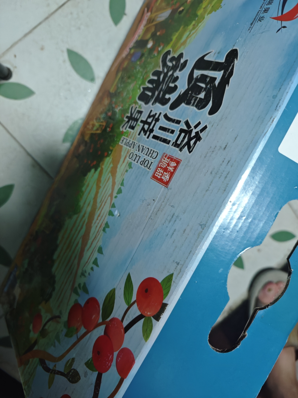 洛川苹果 陕西洛川红富士苹果礼盒 皮薄肉厚脆爽多汁 15枚70mm 小果苹果水果晒单图