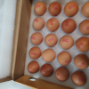 苏鲜生 [苏宁自有品牌]咯咯哒醇香金鸡蛋1.2千克(20枚)可生食鸡蛋 含有叶黄素和OMEGA-3无菌蛋温泉蛋溏心鸡蛋晒单图