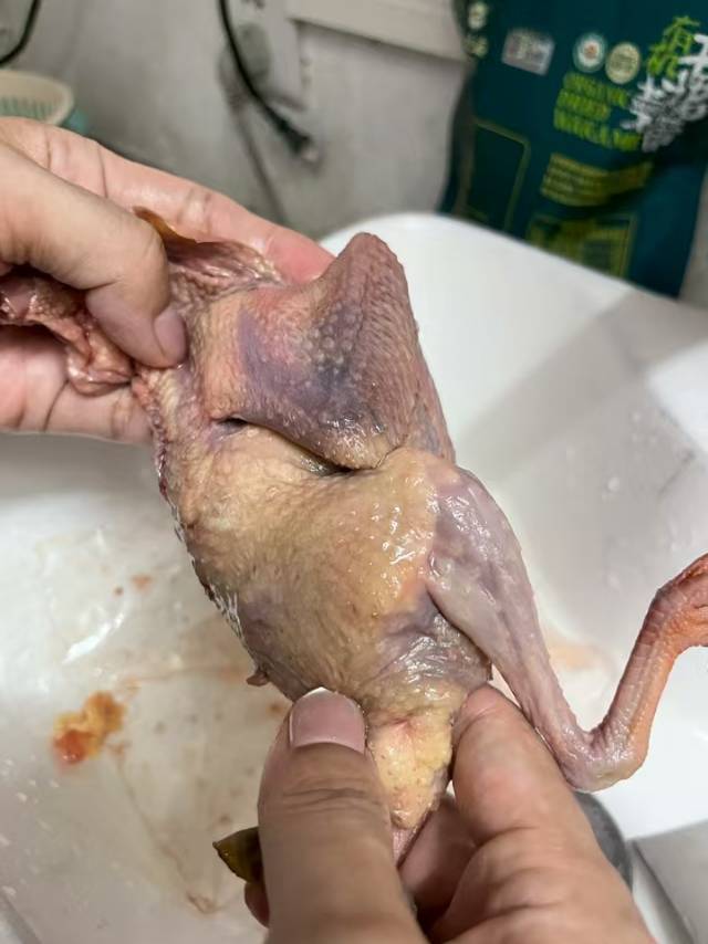 [苏鲜生推荐]雀淘 新鲜现杀乳鸽2只装 300-350g/只 原粮鸽子肉土鸽子肉鸽煲汤滋补晒单图