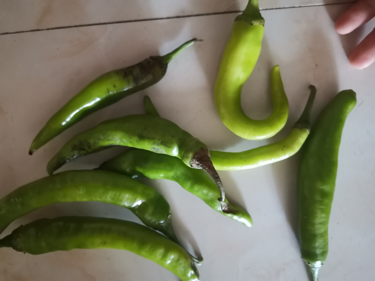 李记乐宝儿童菜芯150g*5袋喝粥下饭菜炒菜烧汤夹馍清淡榨菜心脆鲜小菜调味品晒单图