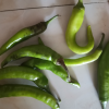 李记乐宝儿童菜芯150g*5袋喝粥下饭菜炒菜烧汤夹馍清淡榨菜心脆鲜小菜调味品晒单图