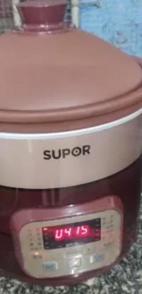 苏泊尔(SUPOR)电炖锅紫砂锅4L/升大容量煲汤锅养生锅煮粥锅电砂锅家用智能预约电炖盅熬粥紫陶内胆DG40YC872晒单图
