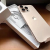 Apple iPhone 16 Pro Max 256G 沙漠色移动联通电信5G双卡双待手机晒单图