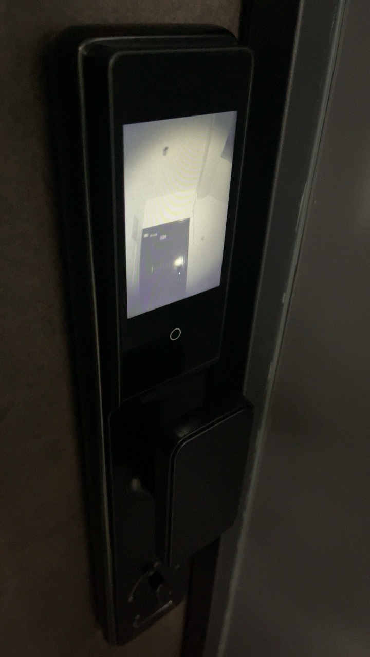 [新品首发]德施曼小嘀3D人脸识别智能门锁猫眼大屏智能指纹锁 密码锁可视对讲Q3EFPro晒单图