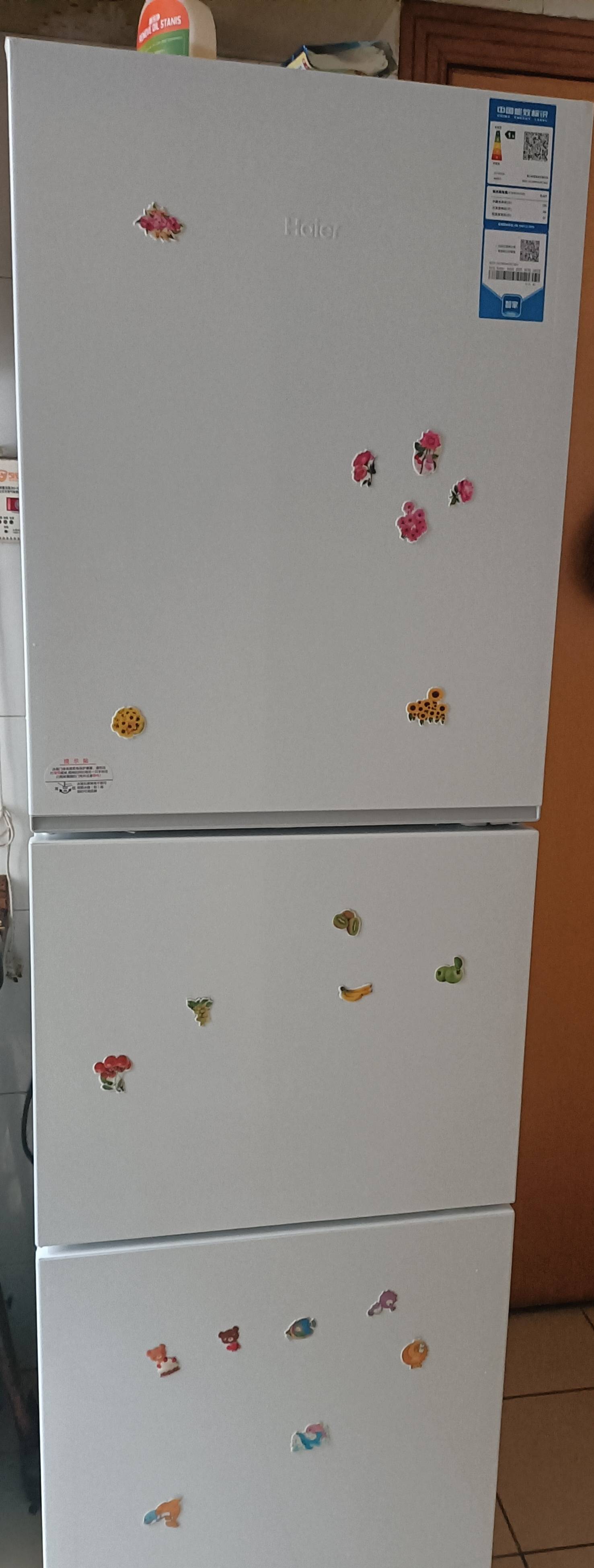 海尔(Haier) 251升 风冷无霜 一级变频 健康保鲜冰箱BCD-251WGHC3E7WV晒单图