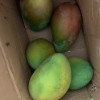 [苏鲜生] 新鲜凯特芒 净重5斤装 大果 单果400g左右 整箱新鲜现摘热带时令水果甜心芒应季水果1晒单图