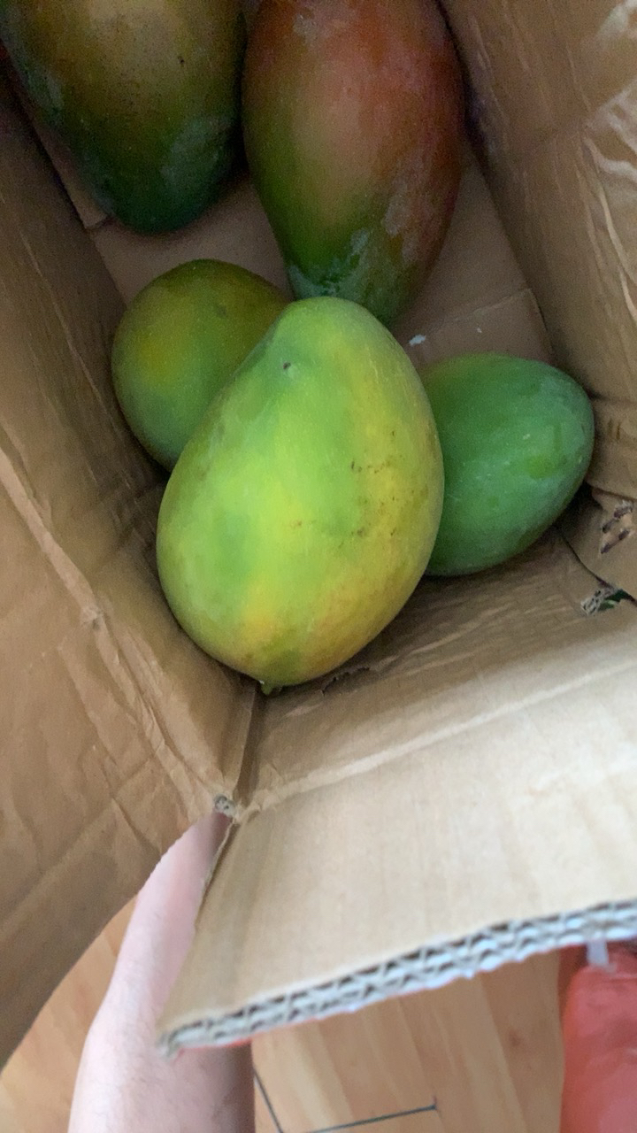 [苏鲜生] 新鲜凯特芒 净重5斤装 大果 单果400g左右 整箱新鲜现摘热带时令水果甜心芒应季水果1晒单图