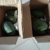 [熊猫鸟] 新鲜凯特芒 净重5斤装 大果 单果400g左右 整箱新鲜现摘热带时令水果甜心芒应季芒果晒单图