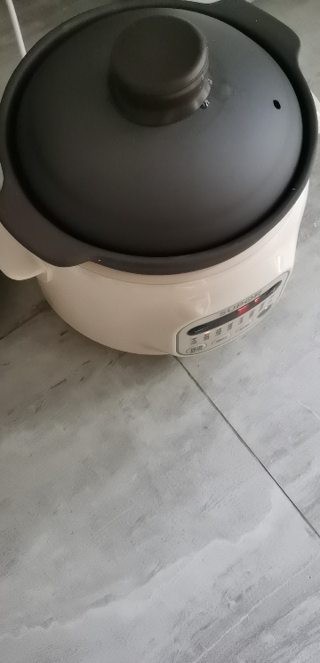 苏泊尔(SUPOR)电炖锅多功能电炖盅3L容量优质紫陶内胆煲汤锅炖汤锅煮粥锅紫陶内胆智能预约定时DG30YC816晒单图