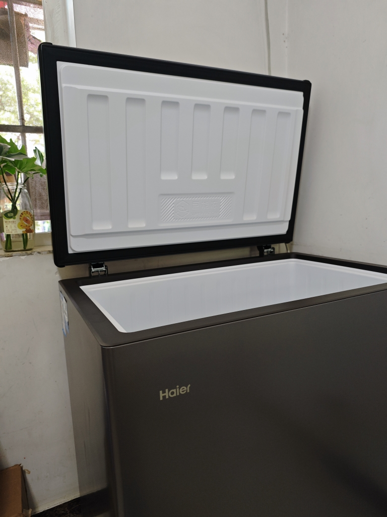 海海尔166升风冷无霜领鲜卧式柜 风冷无霜 大冷冻力 -38℃制冷深度 高温度均匀性 高容积利用率 黑金净化(抗菌净味)晒单图