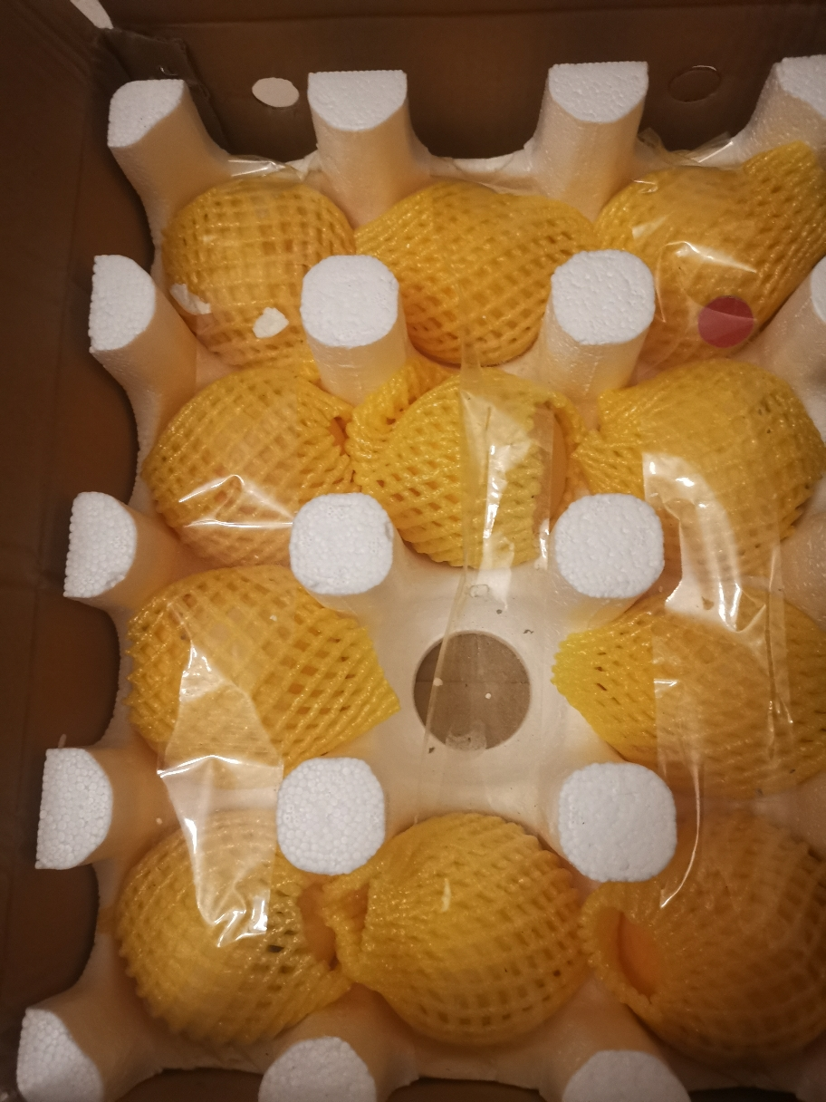 [熊猫鸟]彩箱装山东新鲜黄桃 黄毛蜜桃 新鲜水果桃子 产地直发 净重4.5斤装 单果150g+ 共约10-15个装晒单图