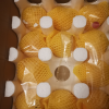 [熊猫鸟]彩箱装山东新鲜黄桃 黄毛蜜桃 新鲜水果桃子 产地直发 净重4.5斤装 单果150g+ 共约10-15个装晒单图