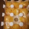 [熊猫鸟]彩箱装山东新鲜黄桃 黄毛蜜桃 新鲜水果桃子 产地直发 净重4.5斤装 单果150g+ 共约10-15个装晒单图