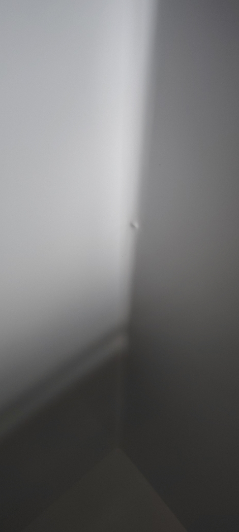 [大容积囤货]美的(Midea)301升 家商两用大冷冻力 多档调温节能省电单温冷柜冰柜BD/BC-301KM(E)晒单图