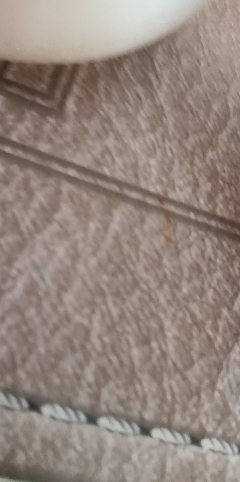 美的M23K2微蒸烤一体变频微波炉23L平板加热五档火力智能WiFi预约功能晒单图