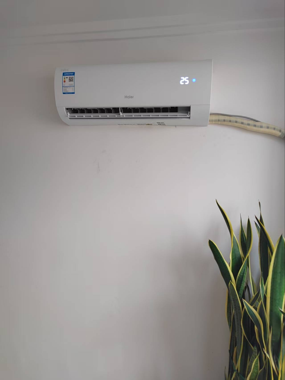 海尔空调小1匹 新1级能效 节能省电 自清洁 防直吹 健康舒适KFR-22GW/01PAA81U1家用空调套机晒单图