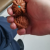 三星75英寸 75DU8000 4K超高清 4核32G AI智能补帧 方言语音控制 无开机广告 超薄平板电视晒单图