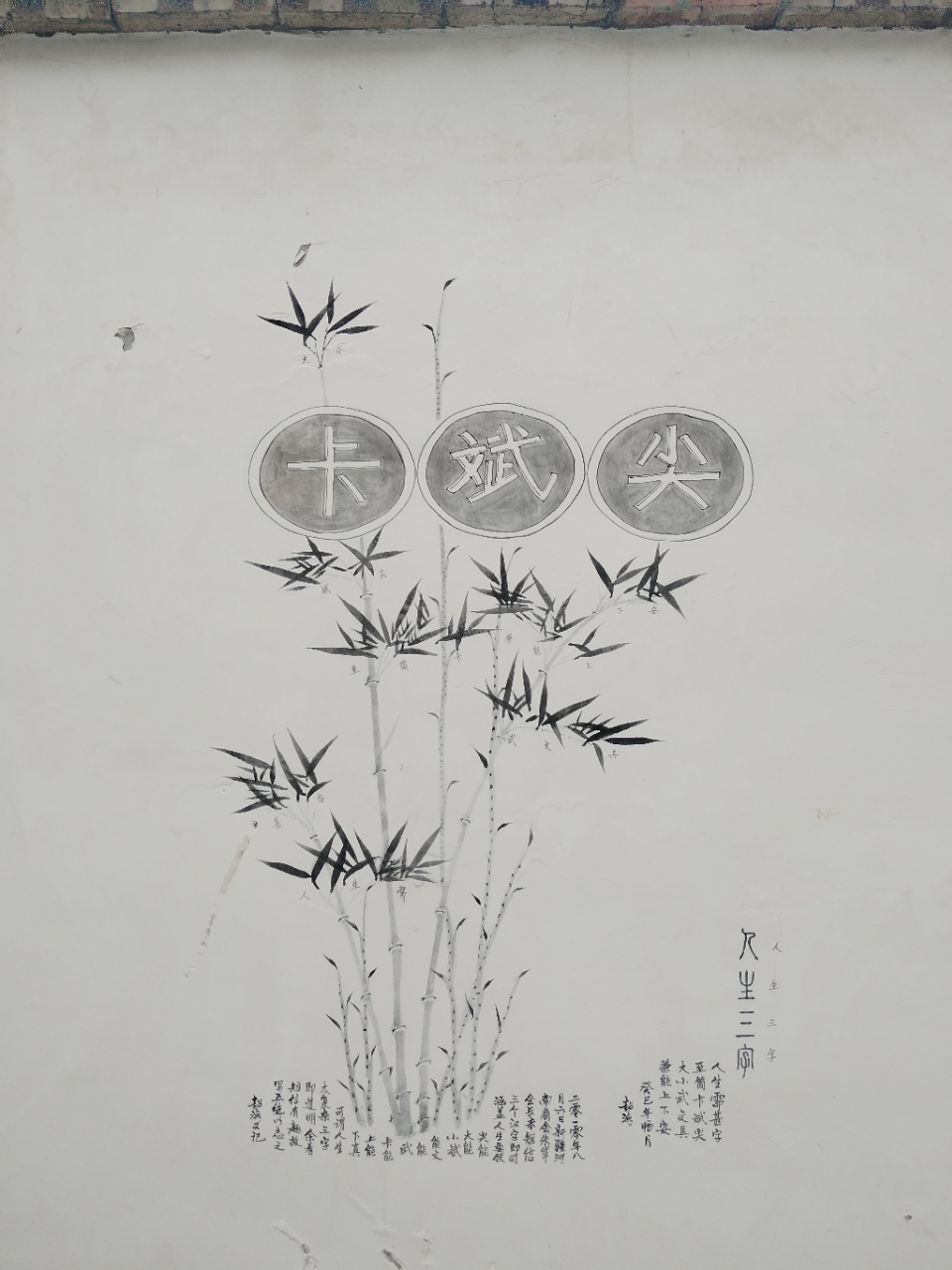 舒俐达蓝莓苏打牙膏清洁护齿110g 清新口气保护牙龈晒单图