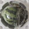 [西沛生鲜] 云南 新鲜麒麟西瓜 1个 4-5斤 新鲜水果 汁多肉甜晒单图