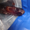 臻味-阿联酋椰枣200g*3袋(共600g)晒单图