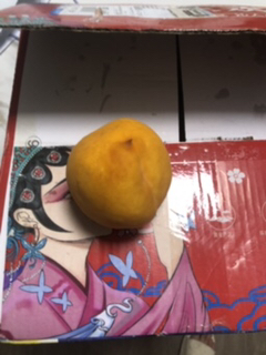 [苏鲜生]彩箱装山东新鲜黄桃 黄毛蜜桃 新鲜水果 净重4.5斤 单果150g+共约10-15个装 应季现摘脆甜毛桃子1晒单图