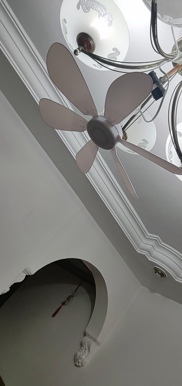 扬子小吊扇宿舍学生床上卧室轻音家用大风力迷你吊蚊帐电风扇小型晒单图