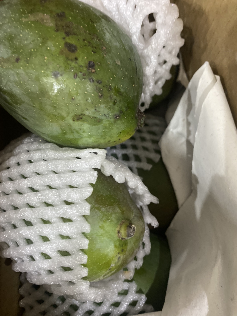 [苏鲜生] 新鲜凯特芒 净重5斤装 大果 单果400g左右 整箱新鲜现摘热带时令水果甜心芒应季水果1晒单图