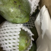 [苏鲜生] 新鲜凯特芒 净重5斤装 大果 单果400g左右 整箱新鲜现摘热带时令水果甜心芒应季水果1晒单图