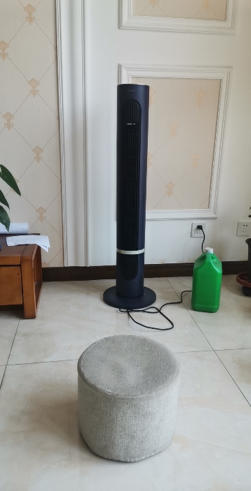 格力(GREE) 家用塔扇低燥省电塔式大风量无叶风扇电风扇 智能遥控轻音循环扇空伴侣立式风扇落地扇 FL-08X63Bg晒单图