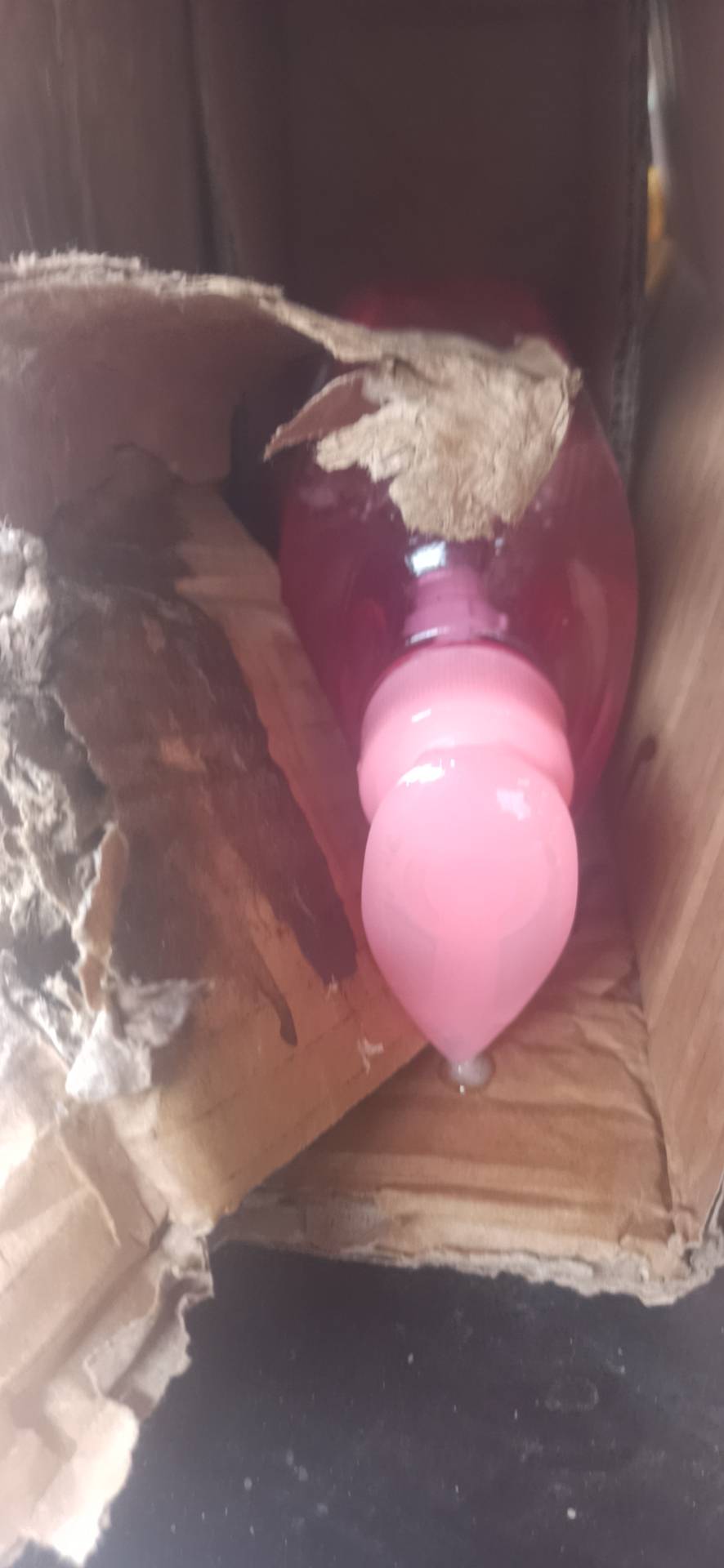 立白莓果酵素洗洁精1kg*2瓶去腥去油冷水速溶易漂洗不伤手晒单图