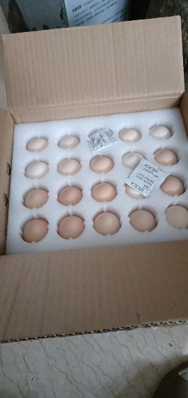 [苏鲜生推荐] 雀淘 AA级皖南新鲜土鸡蛋40枚橙心鸡蛋正宗农家营养早餐晒单图