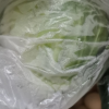 [西沛生鲜]云南新鲜卷心菜 绿甘蓝 净重4.5斤 单果500-1500g 甘兰莲花白牛心菜包心菜 当季新鲜蔬菜晒单图