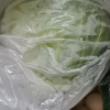 [西沛生鲜]云南新鲜卷心菜 绿甘蓝 净重4.5斤 单果500-1500g 甘兰莲花白牛心菜包心菜 当季新鲜蔬菜晒单图