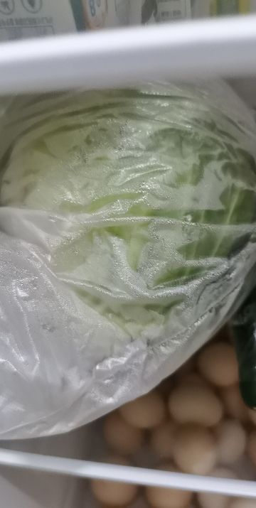 [西沛生鲜]云南新鲜卷心菜 绿甘蓝 净重4.5斤 单果500-1500g 甘兰莲花白牛心菜包心菜 当季新鲜蔬菜晒单图
