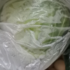 [西沛生鲜]云南新鲜卷心菜 绿甘蓝 净重4.5斤 单果500-1500g 甘兰莲花白牛心菜包心菜 当季新鲜蔬菜晒单图