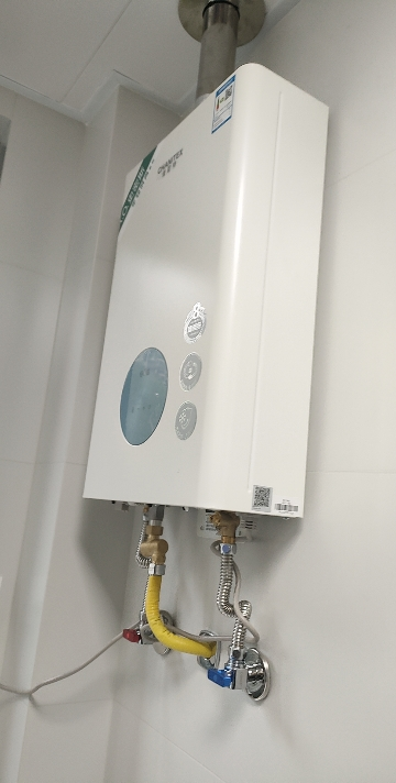 AO史密斯佳尼特16升燃气热水器佳尼特 不锈钢换热器8年包换 恒温大水量 抗风防冻 JSQ31-TC1晒单图