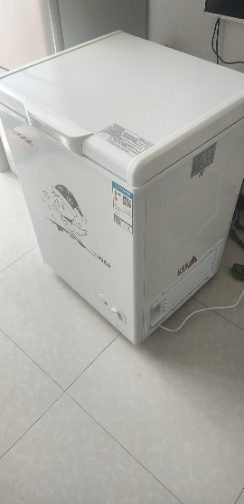 [苏宁优品]香雪海 128升 冰柜家用冷柜 冷藏柜 冷冻柜 冷藏冷冻可转换 冰柜小型家用 BD/BC-128S179BE晒单图